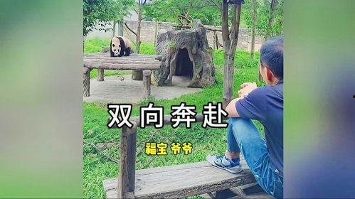 爆料爷爷的视频福宝,揭秘爷爷视频中的神秘传说 第3张 爆料爷爷的视频福宝,揭秘爷爷视频中的神秘传说 第3张